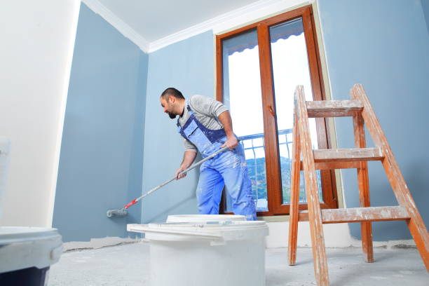 Best Environmental Consulting for Mold Prevention  in Country Club Hls, IL