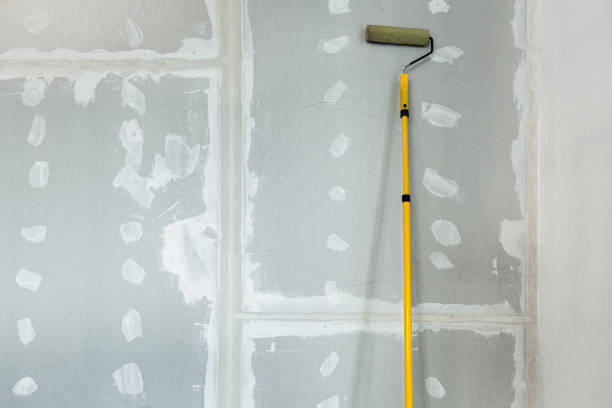 Best Post-Remediation Verification Testing  in Country Club Hls, IL