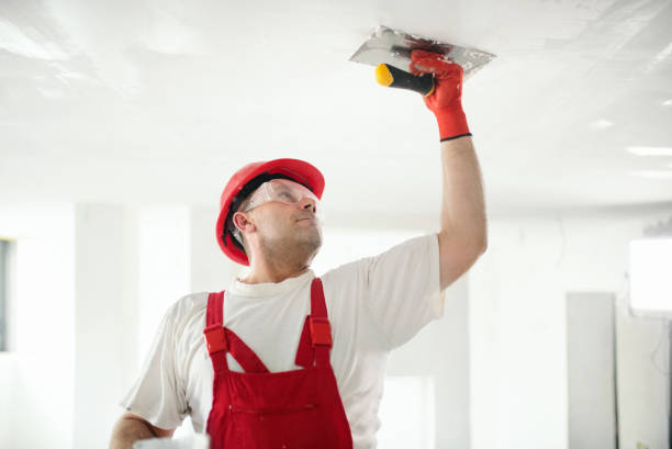Best Industrial Mold Remediation  in Country Club Hls, IL