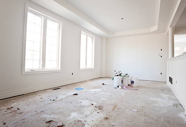 Best Basement Mold Removal  in Country Club Hls, IL