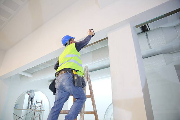 Best Biohazard Mold Removal  in Country Club Hls, IL