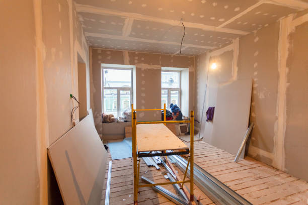Trusted Country Club Hills, IL Mold Removal Experts