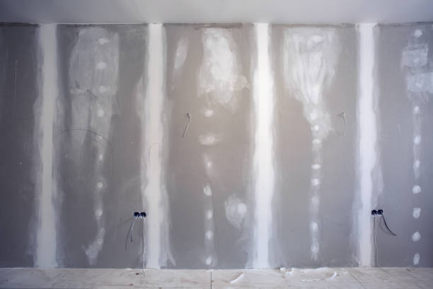 Best Mold Odor Removal Services  in Country Club Hls, IL